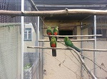 Bild 8 von 4